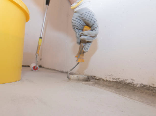 Best Termite Inspection and Treatment  in Bnchard, LA